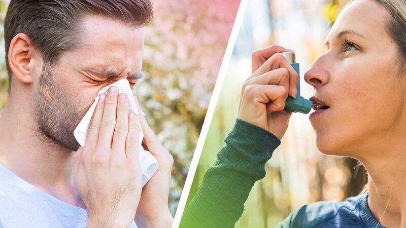 10 Worst Cities for Asthma and Allergies