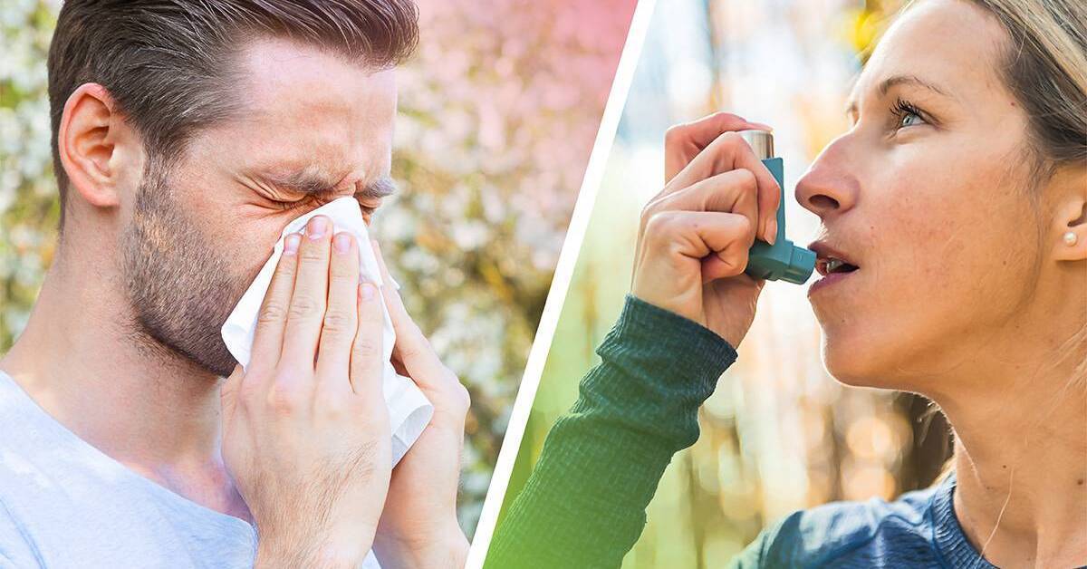 10 Worst Cities for Asthma and Allergies